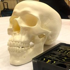 Skull Side Angle Dr. Joseph Infocus Inland Empire
